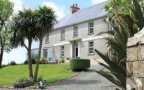 Ty Llwyd
